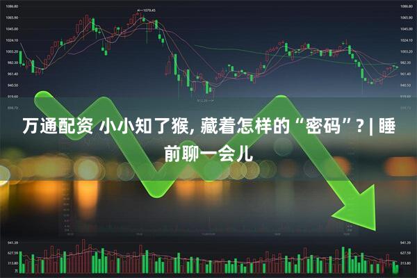 万通配资 小小知了猴, 藏着怎样的“密码”? | 睡前聊一会儿
