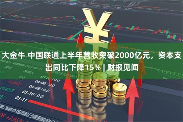 大金牛 中国联通上半年营收突破2000亿元，资本支出同比下降15% | 财报见闻