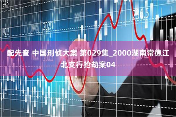 配先查 中国刑侦大案 第029集_2000湖南常德江北支行抢劫案04
