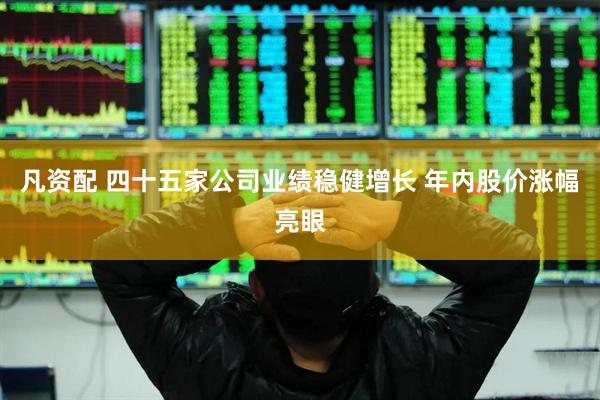 凡资配 四十五家公司业绩稳健增长 年内股价涨幅亮眼