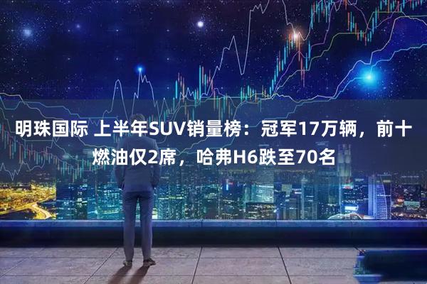 明珠国际 上半年SUV销量榜:冠军17万辆,前十燃油仅2席,哈弗H6跌至70名